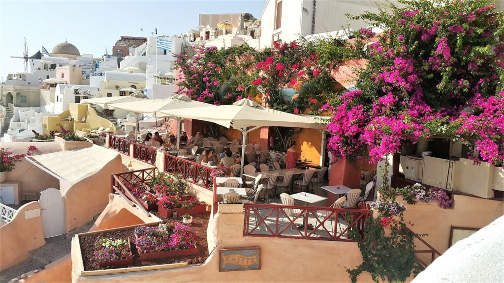 A quaint outdoor cafe among greenery in Santorini