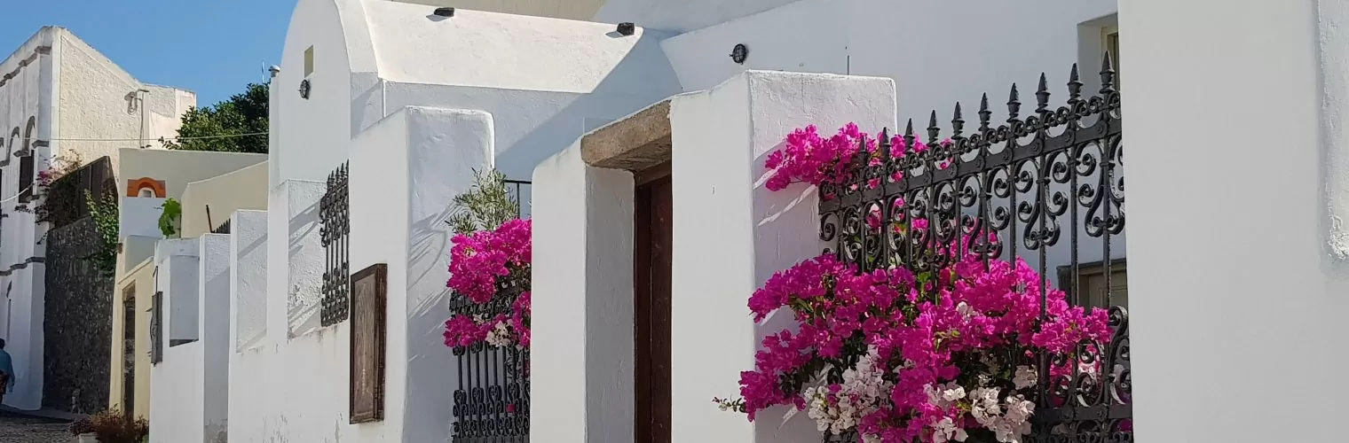 White-washed houses with pink flowers in the Santorini countryside