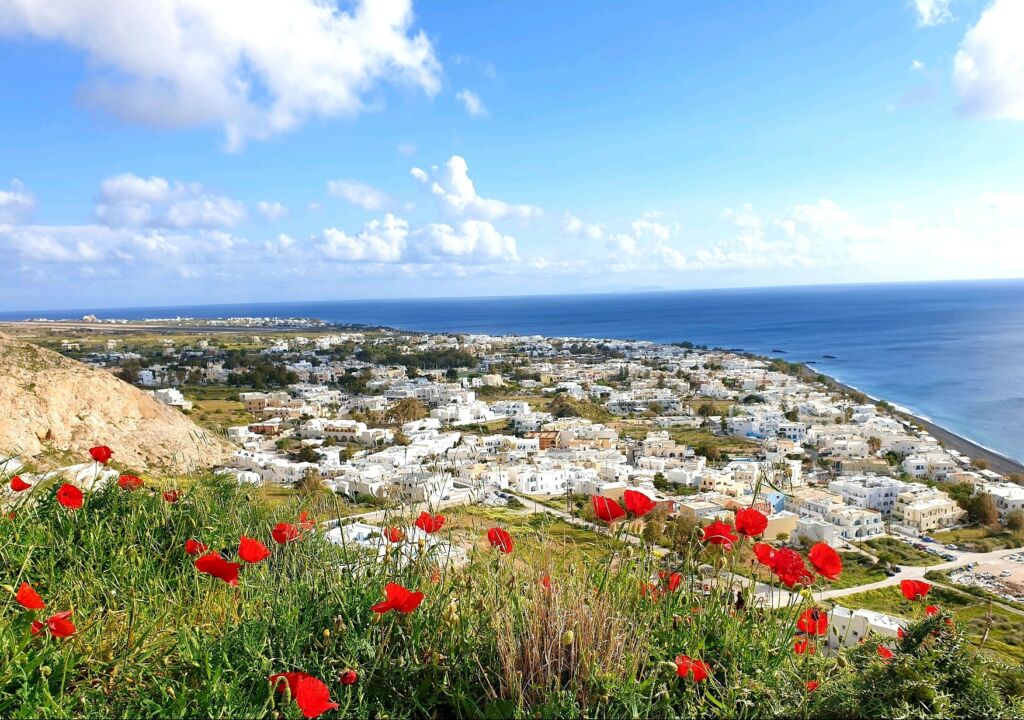 Blooming landscape in Santorini in May