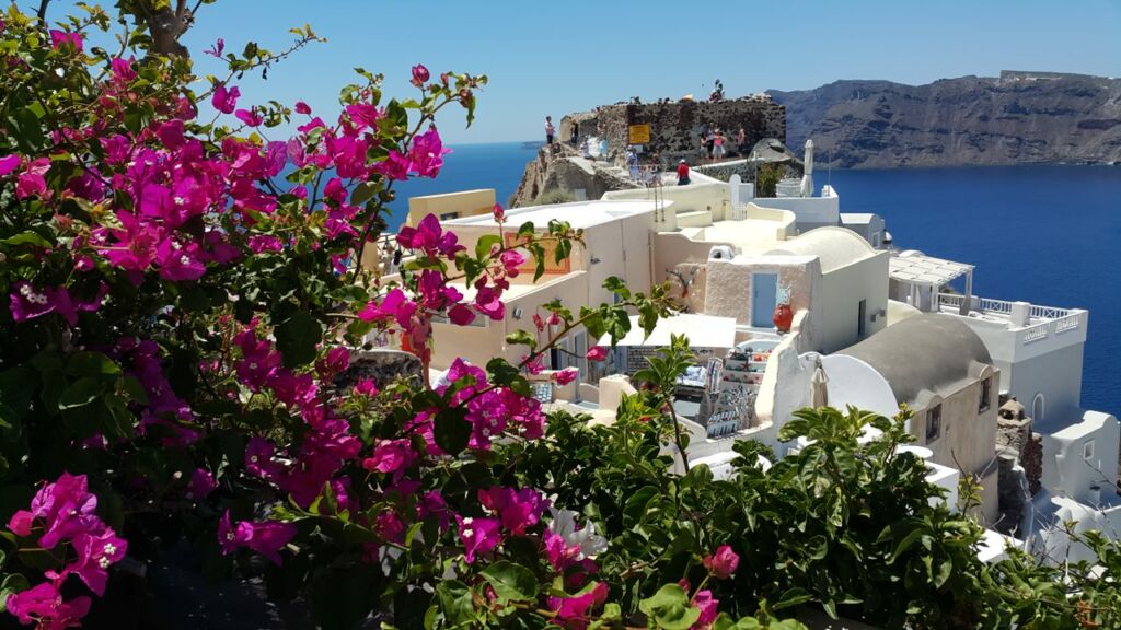 Pink bougainvillea with white-washed buildings and the Aegean Sea in the backdrop