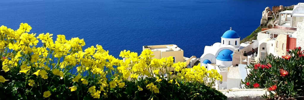 Santorini blue dome and yellow flowers with the Aegean Sea in the background