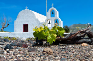 Discover the Santorini Day Tours & Experiences by Santorini Experts
